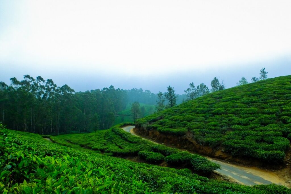 kodaikanal